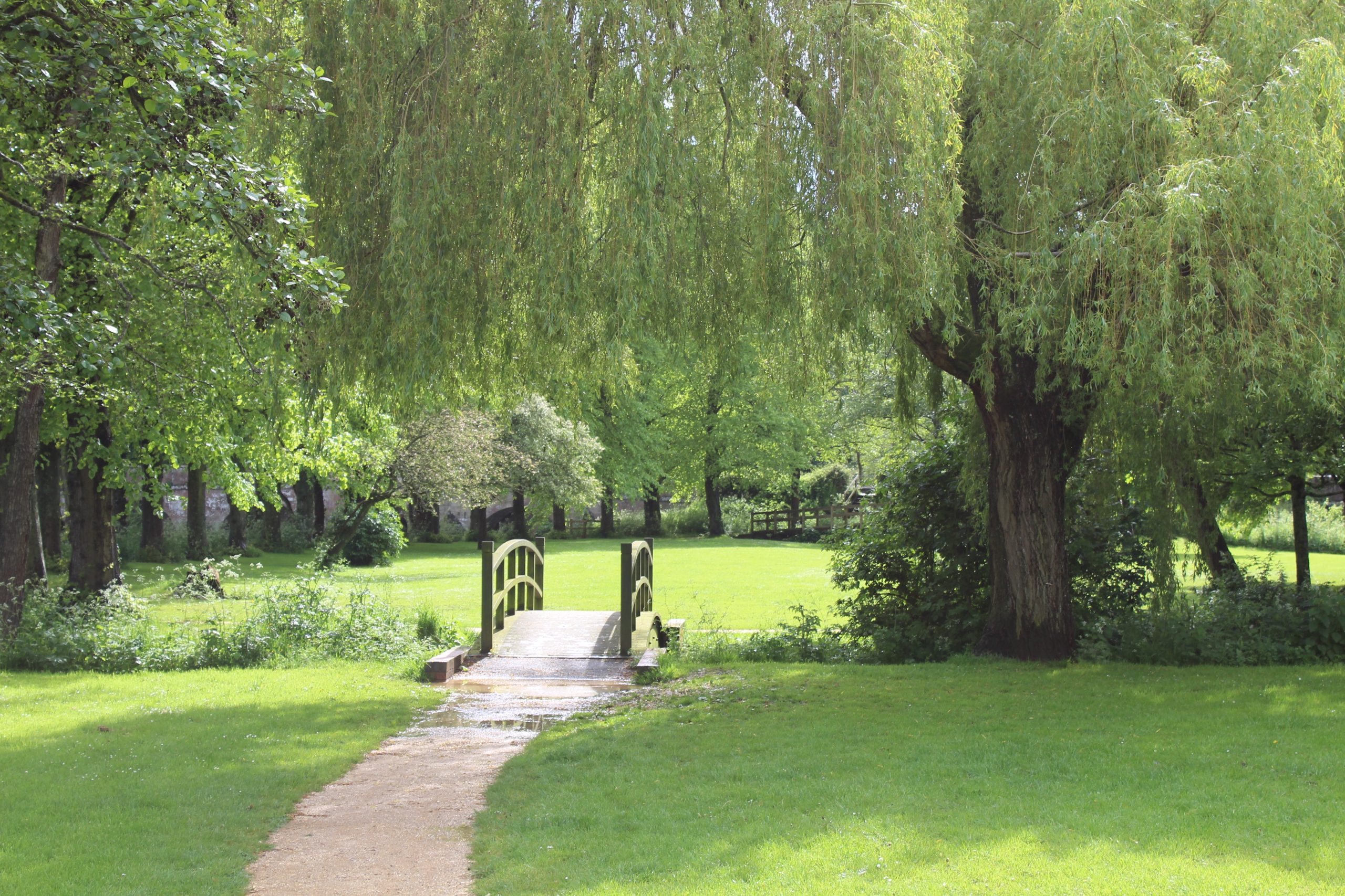 Boiler Service Blandford image